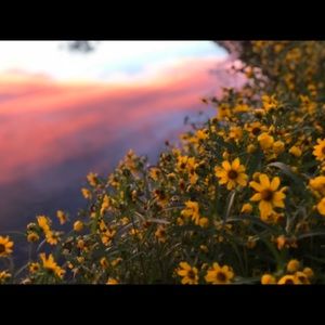 Meet your Posher, Maximus